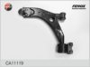 FENOX CA11119 Track Control Arm